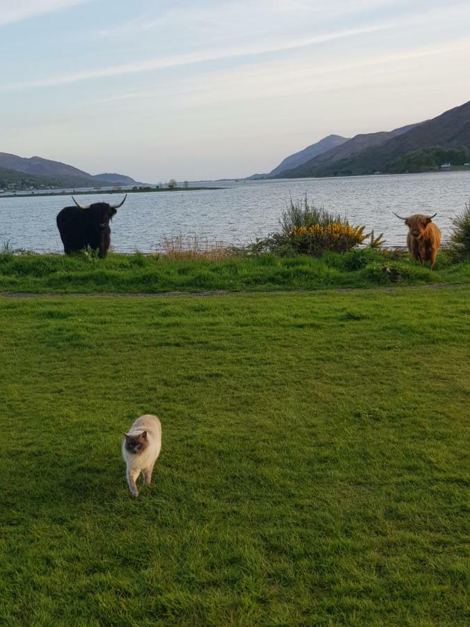 Fort William Loft On Shore Front With Amazing Views Caol Exterior foto